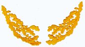 9202.jpg (5490 bytes)