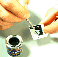 revellpainting2.gif (17657 bytes)
