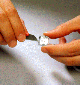 revelltrim.gif (51370 bytes)
