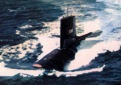skipjack-l.jpg (86756 bytes)